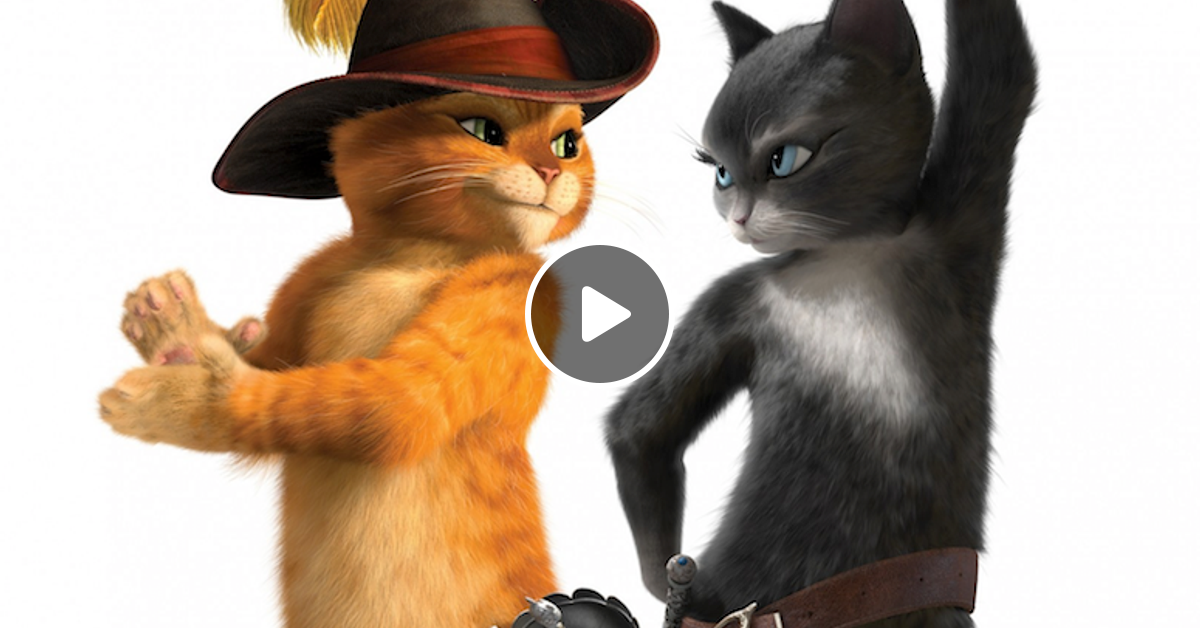Кот в сапогах кот и киса картинки