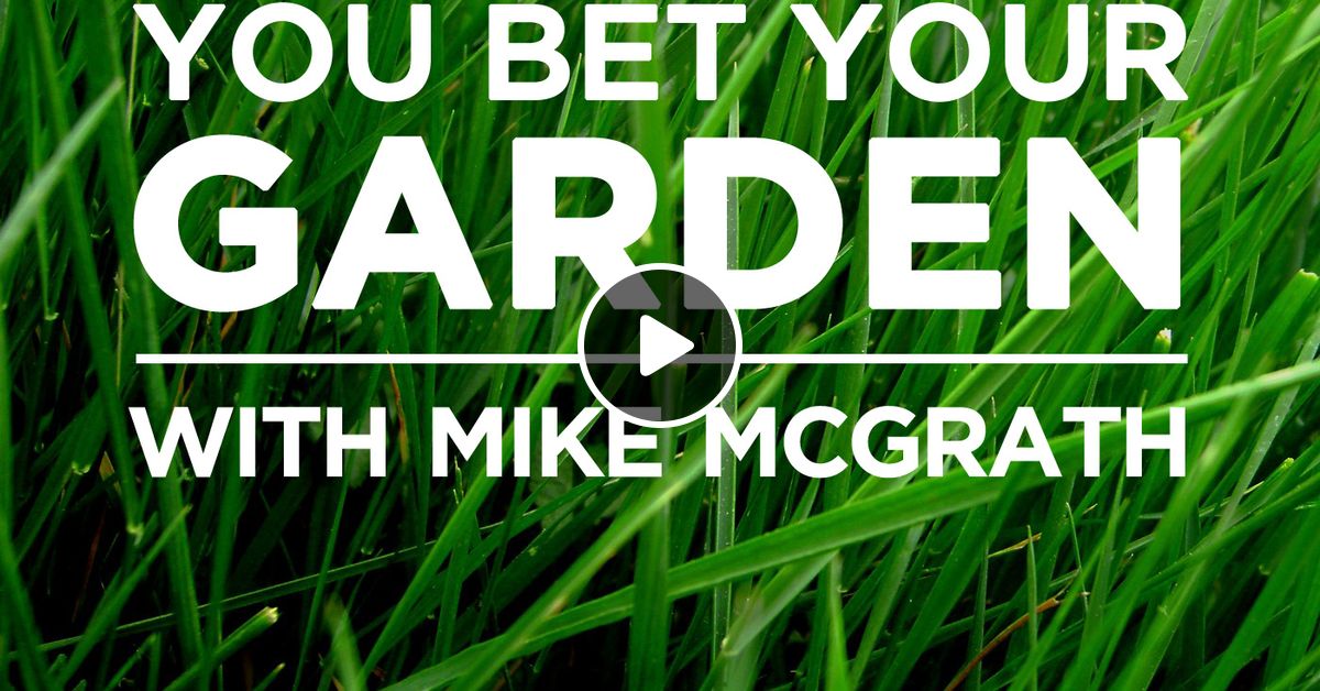 How To Ward Off Pesky Squirrels By You Bet Your Garden Mixcloud
