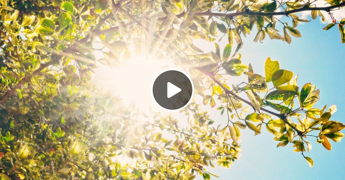 Understanding Controversy by Mormon Channel Daily | MP3 | E | Mixcloud