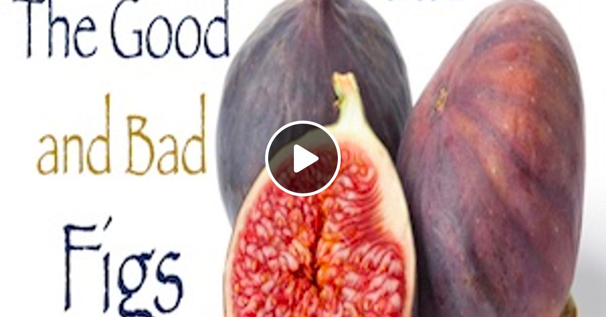 The Good And Bad Figs by Kingdom Life Church Podcast Se Mixcloud