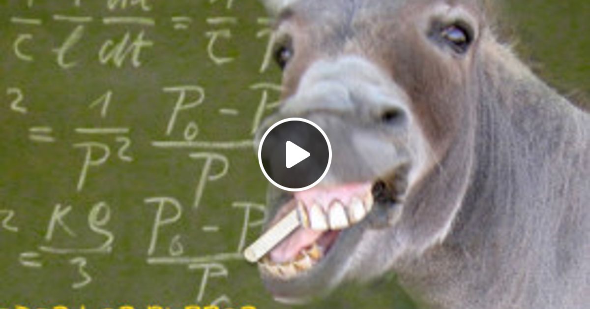 No Todos Los Burros Son Tan Burros 1 Una Quijada De Burro By Podcast De Jazon Mixcloud La quijada de burro, matraca o carraca, es un instrumento de percusión que se utiliza, desde hace muchos años, en varias regiones de hispanoamérica. no todos los burros son tan burros 1