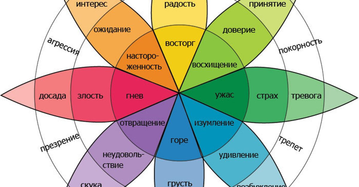 Эмоциональный круг схема