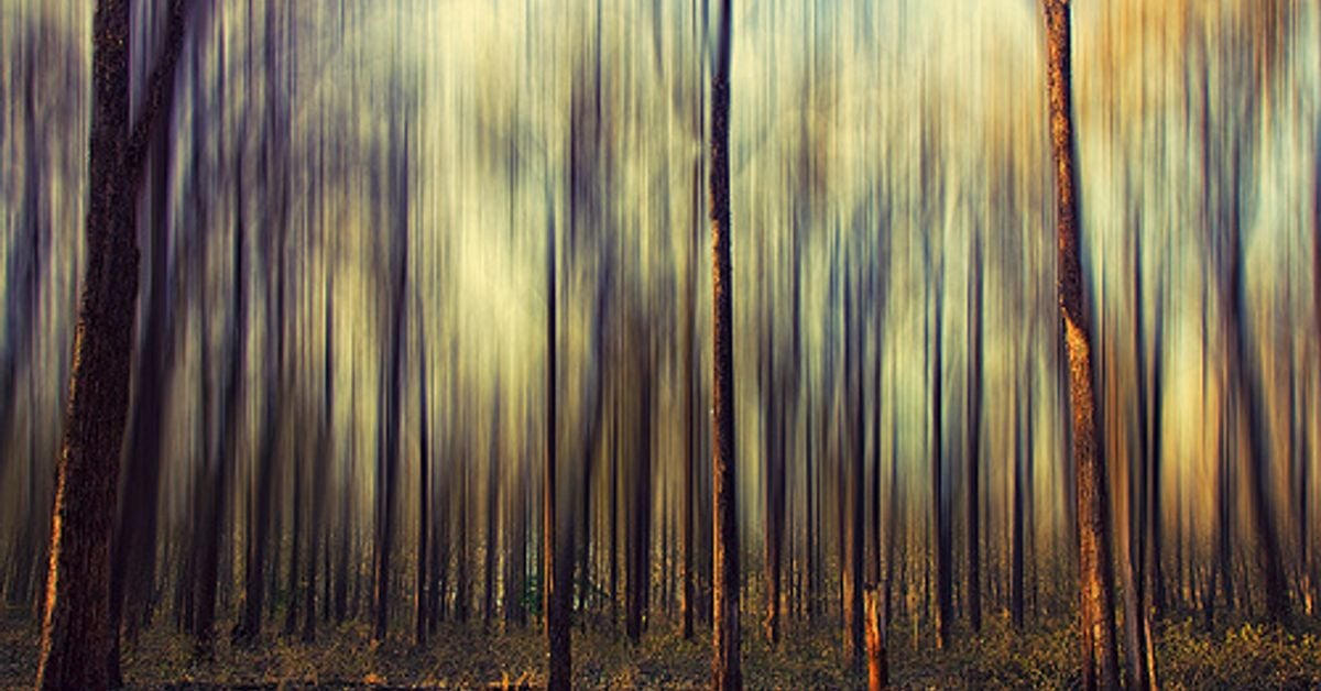 Distance picture. Подростки учеба. How to fix the people you love. Even while. Even grammar.