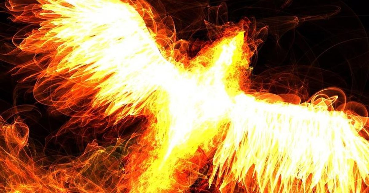 Феникс горячая. Огненный Феникс. Огненные Крылья. Феникс фото. Огненный Вихрь.