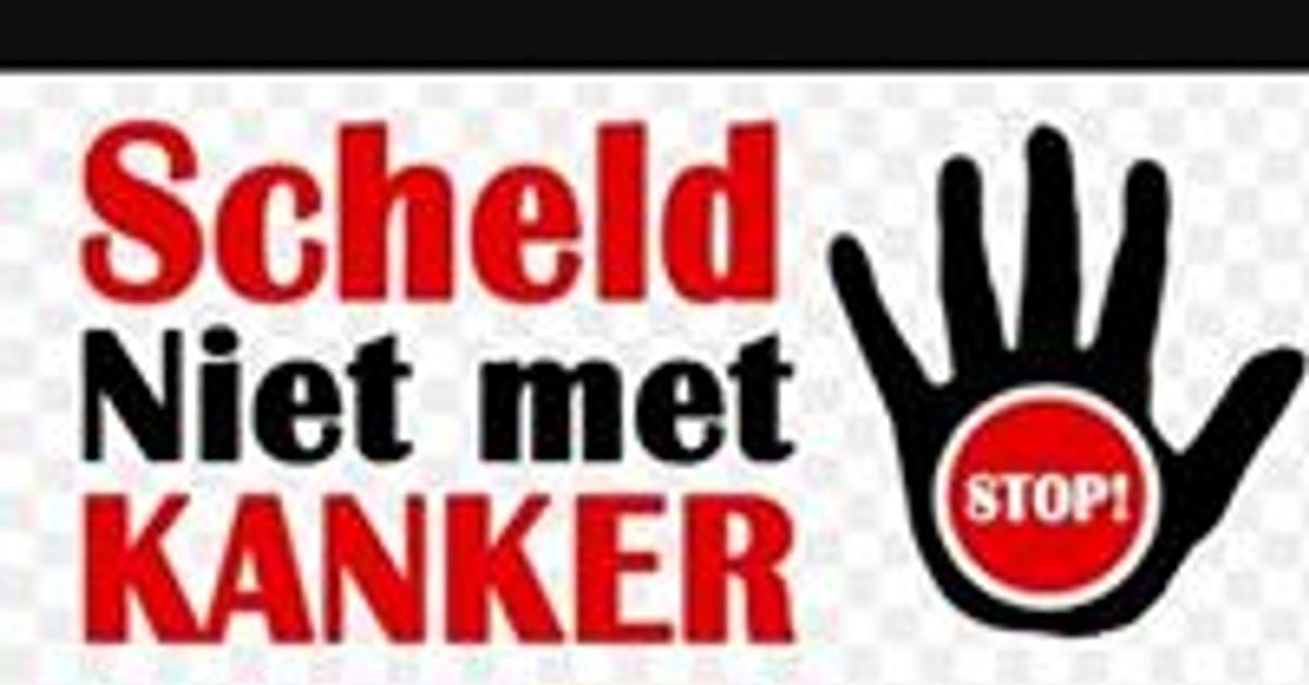 бигсток. стоп буллинг картинки. Meet stop. красный стоп. стоп.