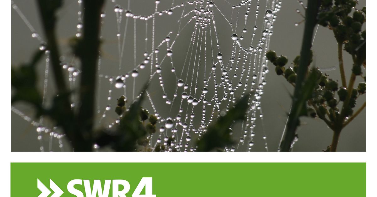 SWR4 BW (Verkün Mixcloud