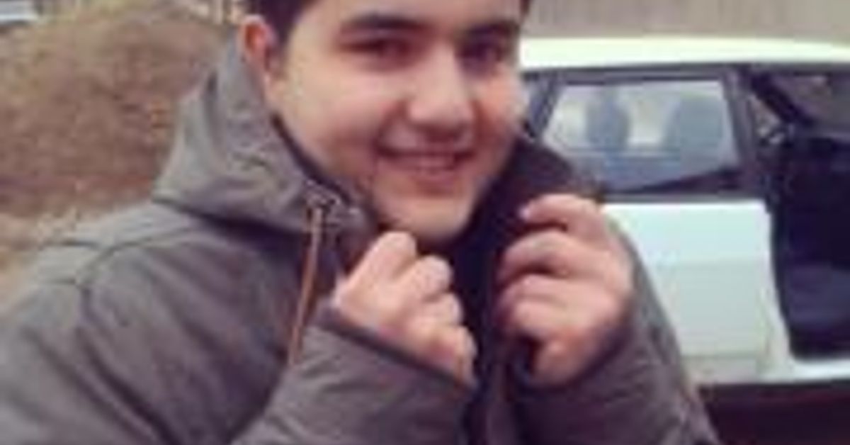 Исмайлов гамлет арастунович. Гамлет исмаилов. Исмаилов гамлет арастунович. Гамлет исмаилов арастун оглы. Папикян гамлет вачаганович челябинск.