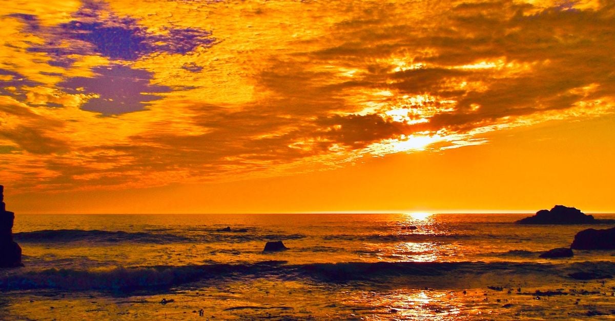 BM8020's Reposts | Mixcloud