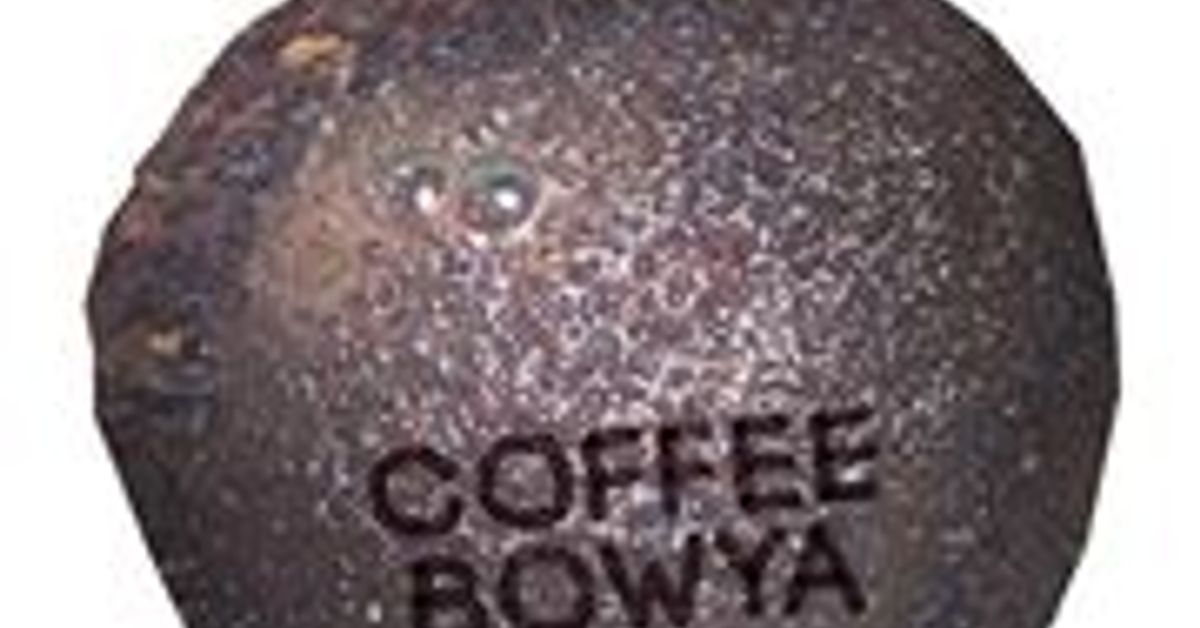 Bowya Coffees Shows | Mixcloud Bowya Coffee