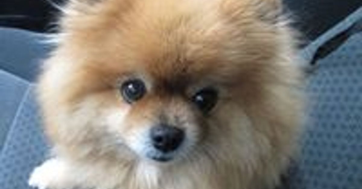 John William Baxter's Favorites Mixcloud