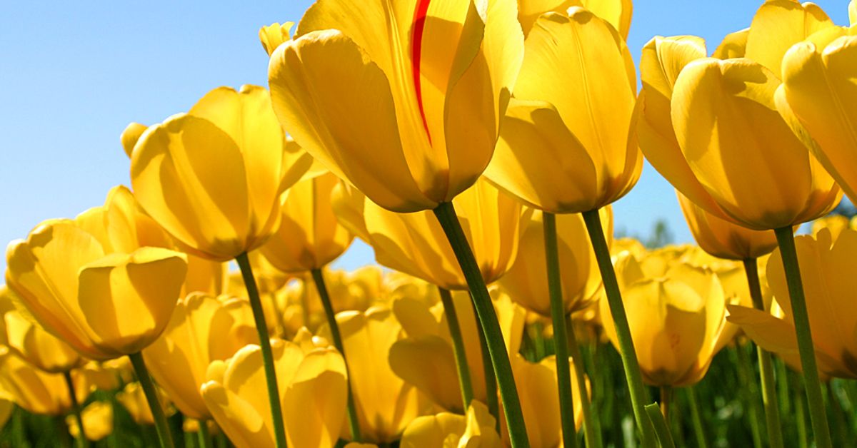 gggggggg gggggggg gggggggg gggggggg gggggggg gggggggg gggggggg