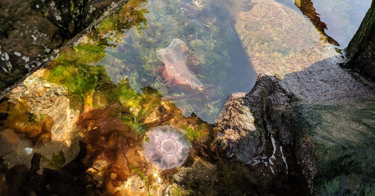 Eclectric Beats Mixcloud