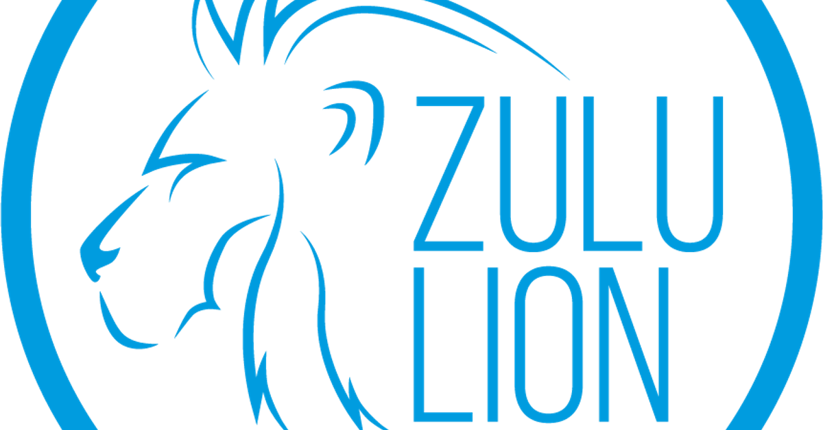 dj zulu lion