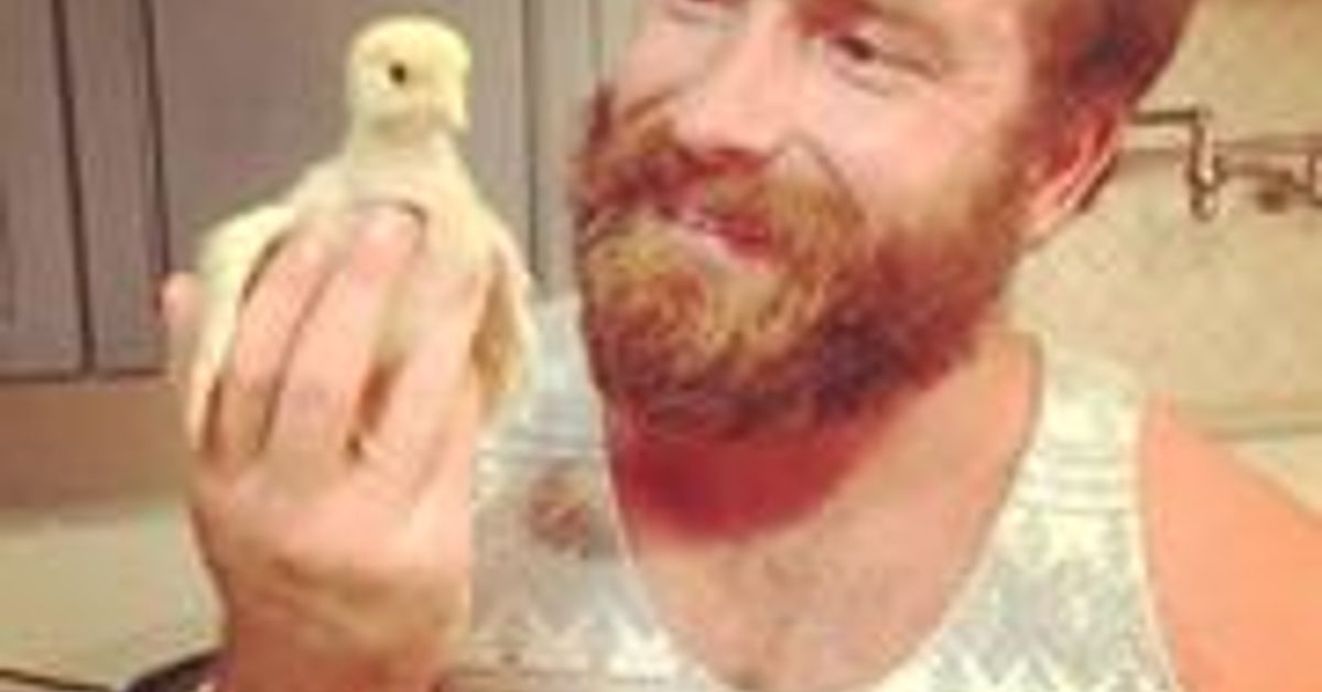 Bobcat Shandiesel's Stream Mixcloud