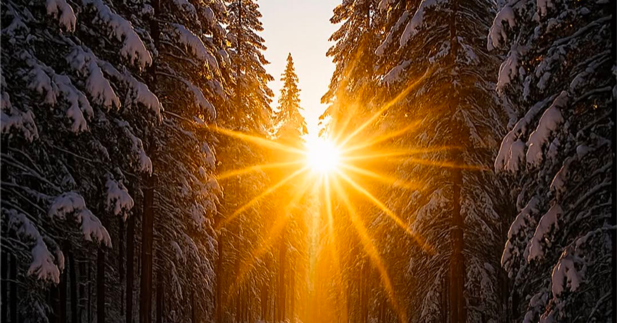 Suzanne Ryan (AKA WINDY CITY)