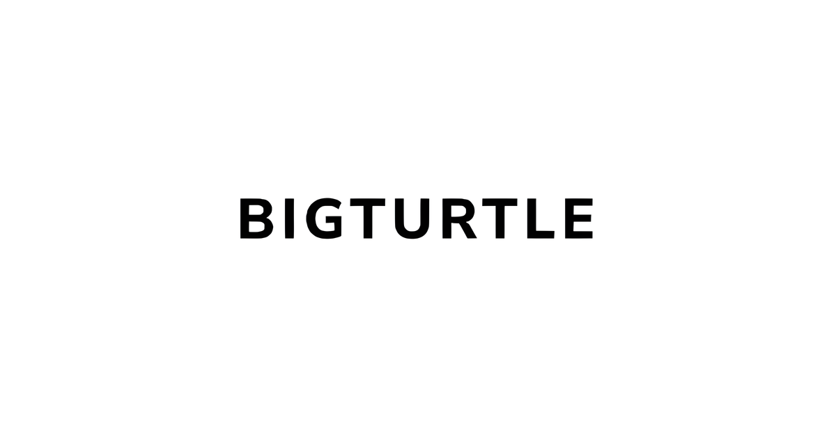 BigTurtle