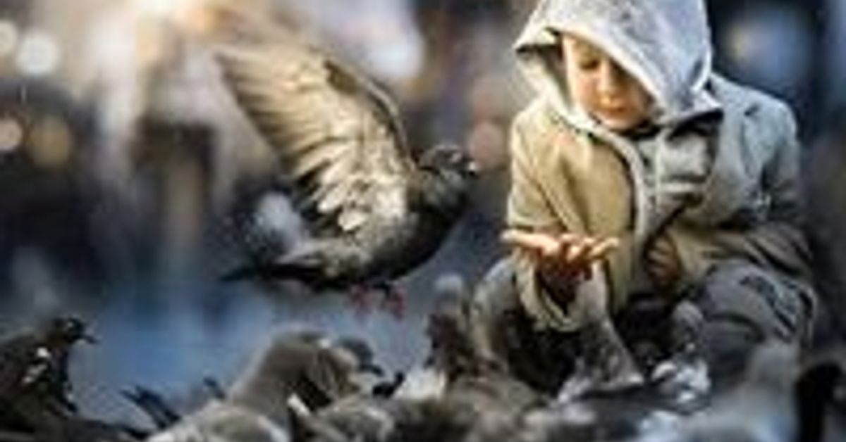 Мальчик и птица полностью. Птицы для детей. Девочка с голубем. Мальчик и птичка. Фотосессия с голубями.