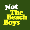 Not The Beach Boys