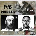 I Am... NasLib - Nas and Madlib (EXPLICIT)