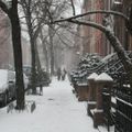 Dec 7: An Early December Snowfall