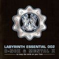 D-Nox & Mental X ‎– Labyrinth Essential 002  2006