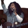 Bob Marley & The Wailers 1978-07-01 Roskilde Festival, Roskilde, Denmark Soundboard