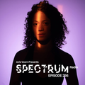 Joris Voorn Presents: Spectrum Radio 236
