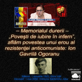 Va ofer: Din colectia mea ... Memorialul durerii... Ion Gavrila Ogoranu - Auditie placuta ...