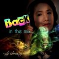 DJ Chrissy - Back In The Mix (Section The Best Mix 2)