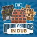 DJ Rosa from Milan - Natural Vibrations in Dub