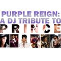 DJ Freedom Presents A DJ TRIBUTE TO PRINCE (House Massive Edition) Wed 6-15-16 (Version 1.0)