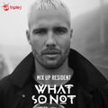 What So Not on Mix Up Triple J 09/06/2018