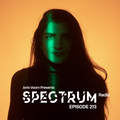 Joris Voorn Presents: Spectrum Radio 213