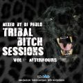 DJ PAULO-TRIBAL BITCH SESSIONS Vol 1 (Afterhours) 