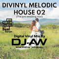 Divinyl Melodic House 02 BY DJ-AW