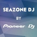 Rob Stan - SeaZone Dj Mix 2016