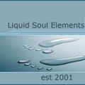 Liquid Soul Elements: A Retrospective