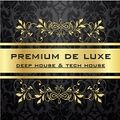 MIKE VORTEX DJSet - Premium Deluxe - ArenaBulle 27/02/2015
