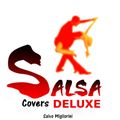 Salsa Covers Deluxe
