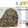 Ιωάννης Μπαζιώτης, ορυκτολόγος- πετρολόγος - Erg Chech 002: Tα μυστικά ενός μοναδικού μετεωρίτη