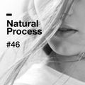Natural Process #46