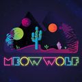 Mark Farina Live Meow Wolf Santa Fe New Mexico 11.2018