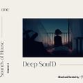 Faya - Sounds of House S2 EP one - Deep Soul'D
