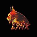 77Deuce Ent Presents: LYNX - Joe Florida Tribute (Electro Mix)