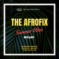 DJAYP MUSIQ Presents THE AFROFIX -Summer Vibez