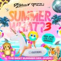 Dj Stevie V's SUMMER ...WHAT? Part 3 Feat. Dj Guzzu