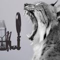 Animales de Radio EP02