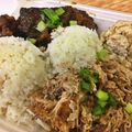 Hawaiian Mixed Plate Lunch - Ono! Volume 1