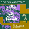 Nickodemus LIVE at The Funky Seshwa Weekender 2020