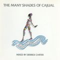 Derrick Carter ‎– The Many Shades Of Cajual (1996)